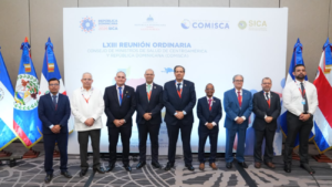 Ministerio de Salud destaca logros alcanzados durante la presidencia pro tempore del Comisca