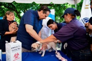 Ministerio de Salud realizará jornada de vacunación para perros y gatos este viernes 21 en Ciudad Juan Bosch
