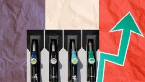Precio. Gasolina. Francia.